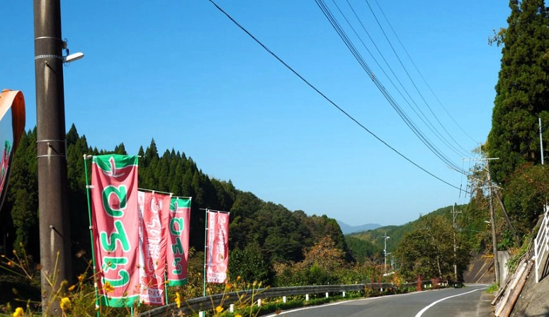 佐賀租車 佐賀租車