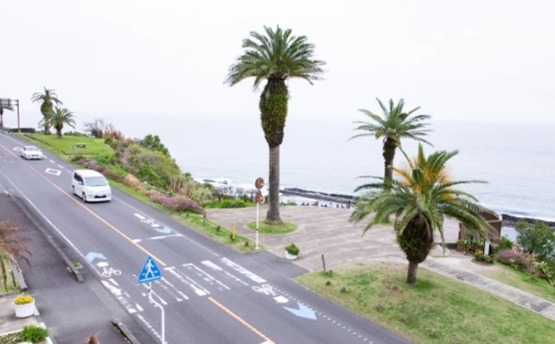 福岡長崎開車 福岡長崎開車