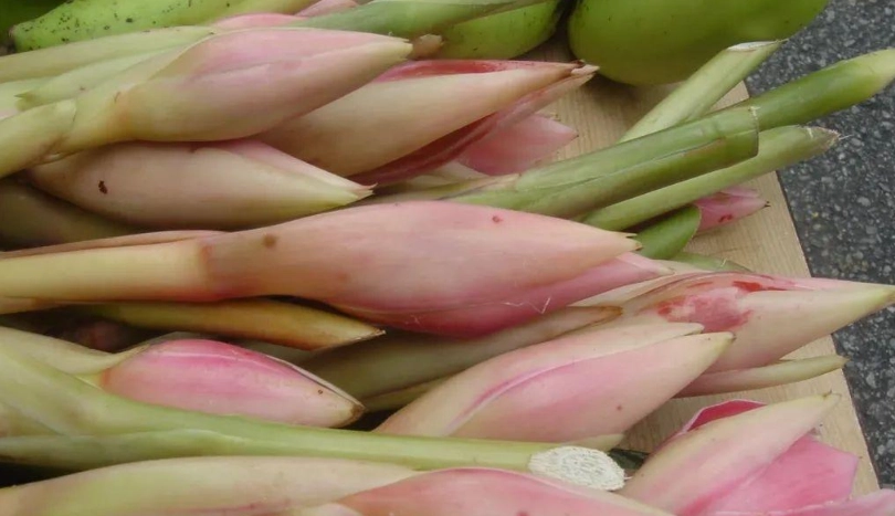 台灣火炬薑餐廳