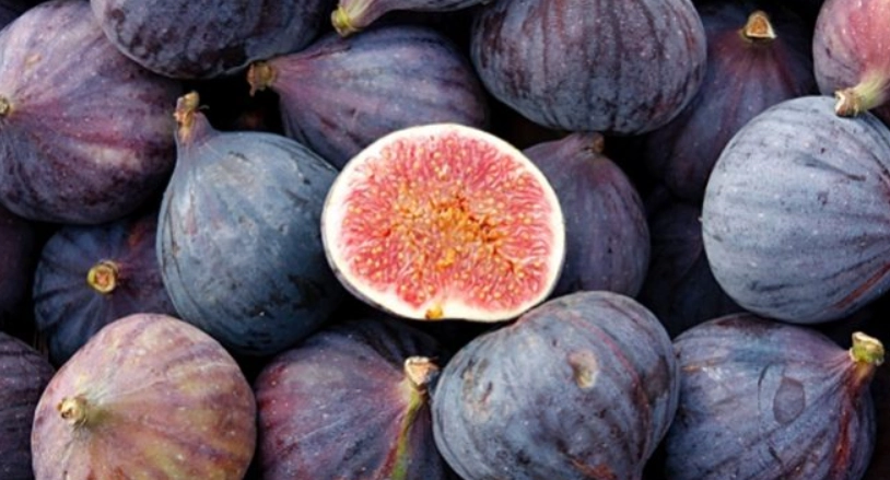 無花果營養價值