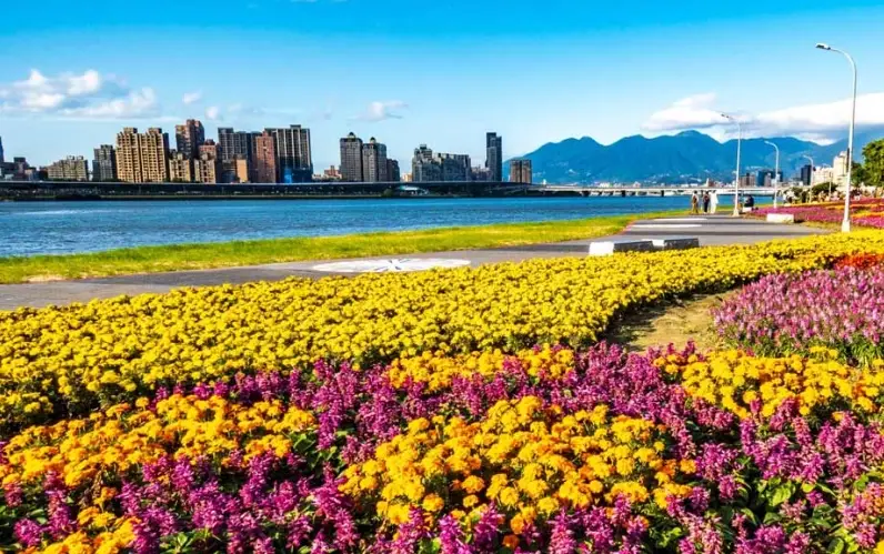 台北花海景點
