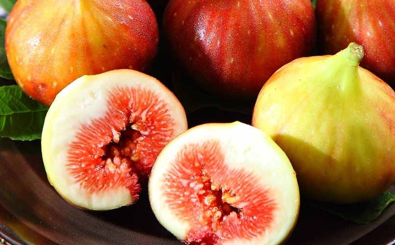 新鮮無花果