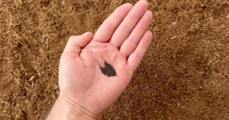 盆栽 薄荷 土壤