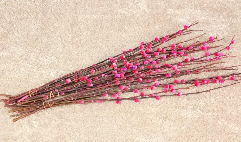 銀柳保存方法 銀柳保存方法