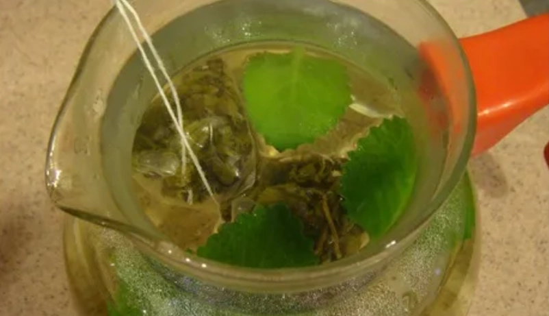 左手香健康益處