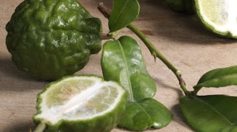 馬蜂橙保健用途