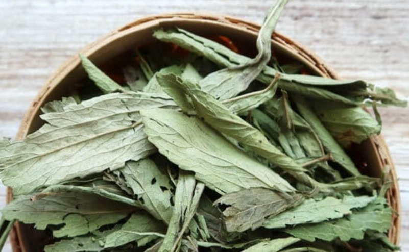 甜菊葉副作用 甜菊葉副作用