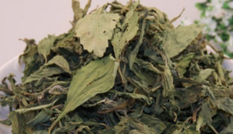 甜菊葉副作用 甜菊葉副作用