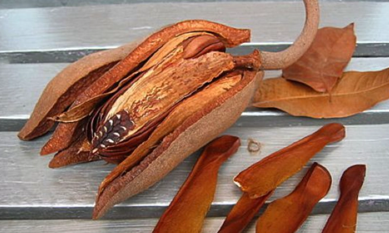 桃花心木家具 桃花心木家具