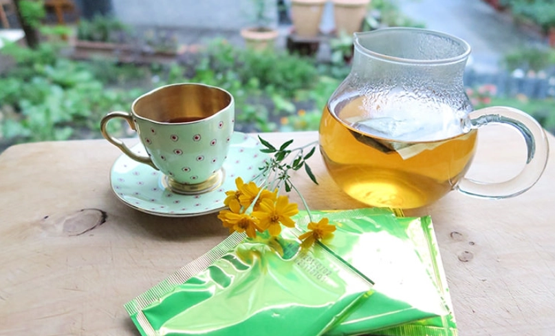 芳香萬壽菊茶禁忌