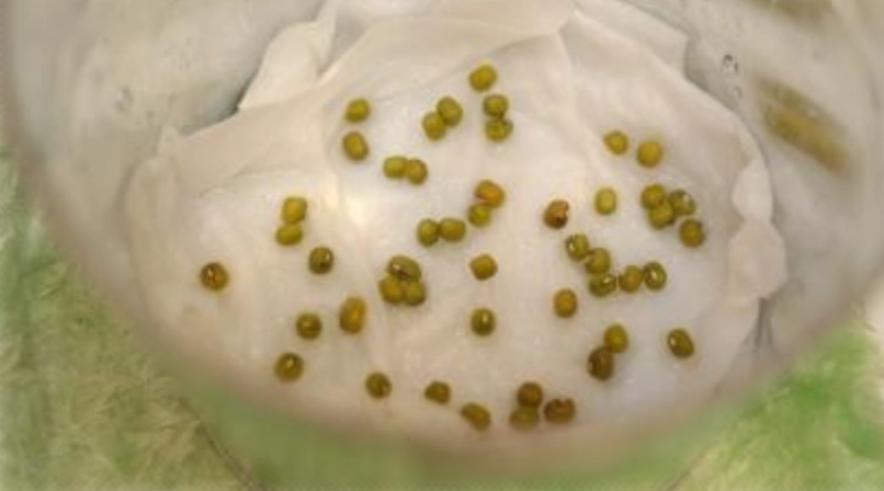 家庭農業入門 家庭農業入門