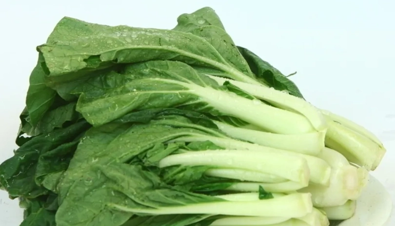 黑葉白菜病蟲害 黑葉白菜病蟲害