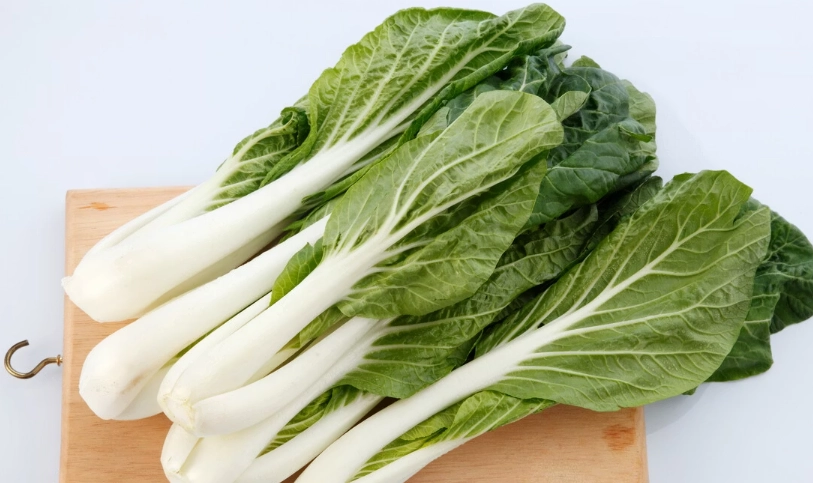 黑葉白菜照顧 黑葉白菜照顧