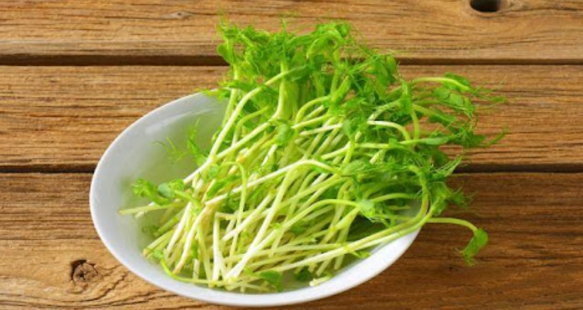 棉花栽培技巧 棉花栽培技巧