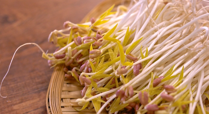 家庭農業入門 家庭農業入門