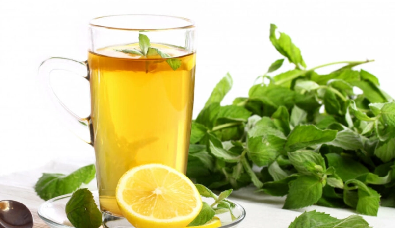 檸檬香蜂草泡茶