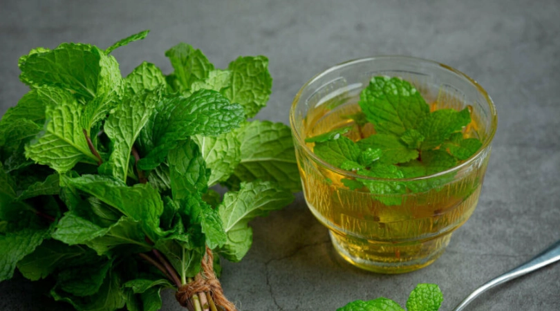 檸檬香蜂草怎麼泡