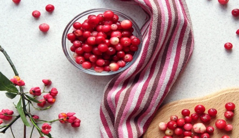 尿道感染預防 尿道感染預防