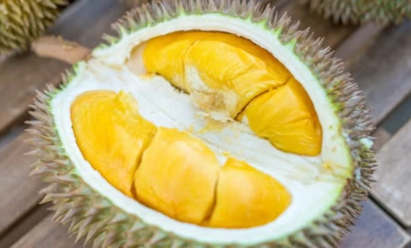 榴槤不能和什麼一起吃