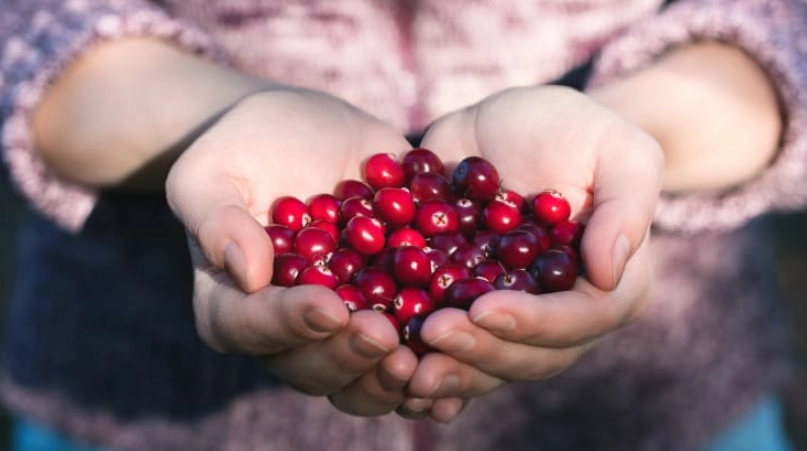 尿道感染預防 尿道感染預防