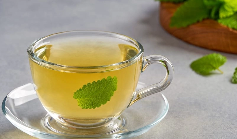 檸檬香蜂草禁忌