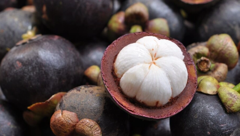 山竹一天可以吃幾顆