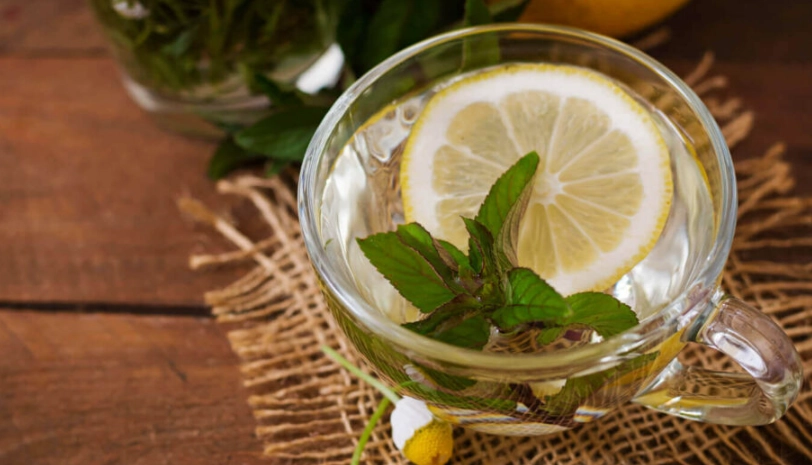 檸檬香蜂草禁忌