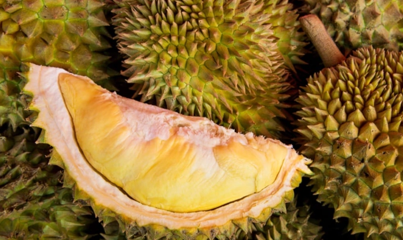 榴槤不能和什麼一起吃