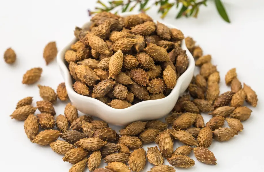 蒼耳子處理方法