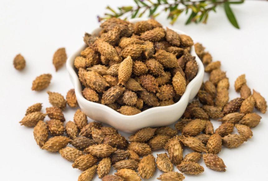 蒼耳散功效與禁忌