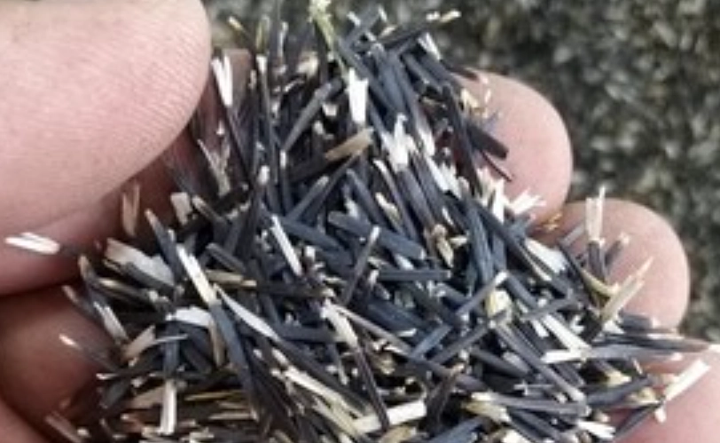 波斯菊種子泡水好處 波斯菊種子泡水好處