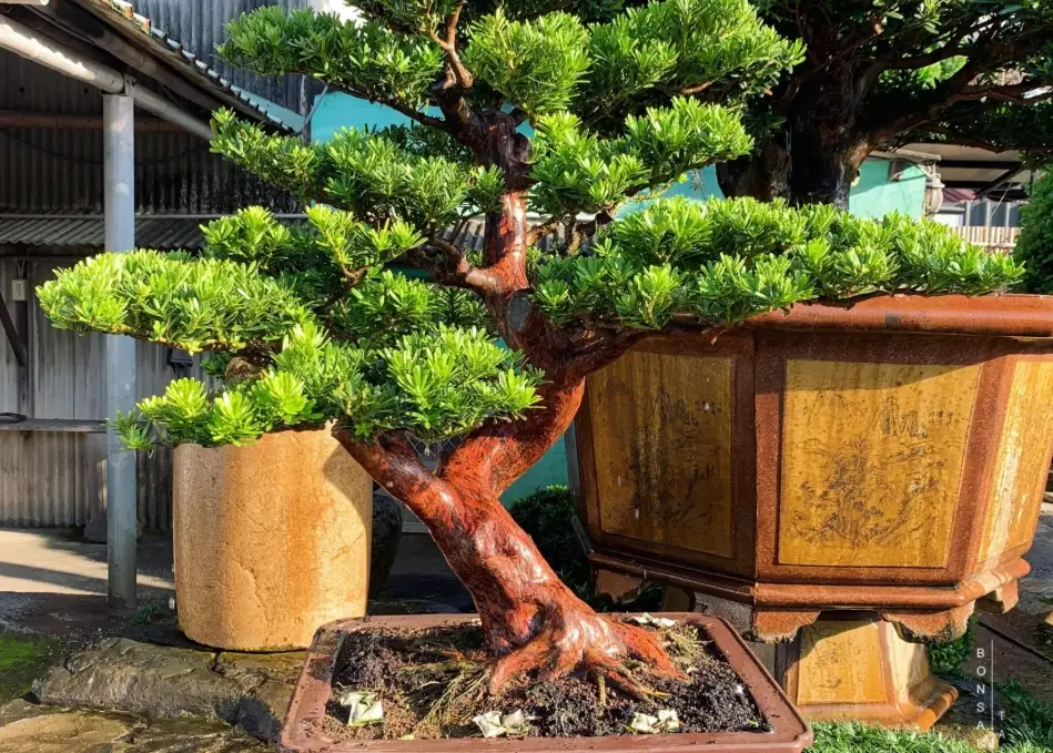 手工皂推薦