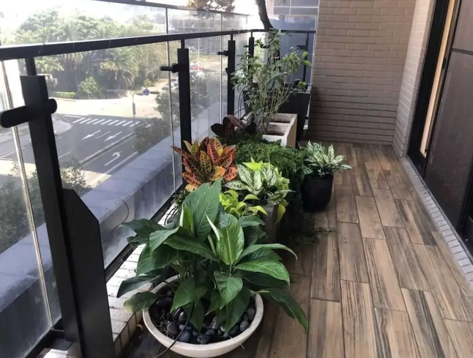 如何防治潛葉蟲 如何防治潛葉蟲