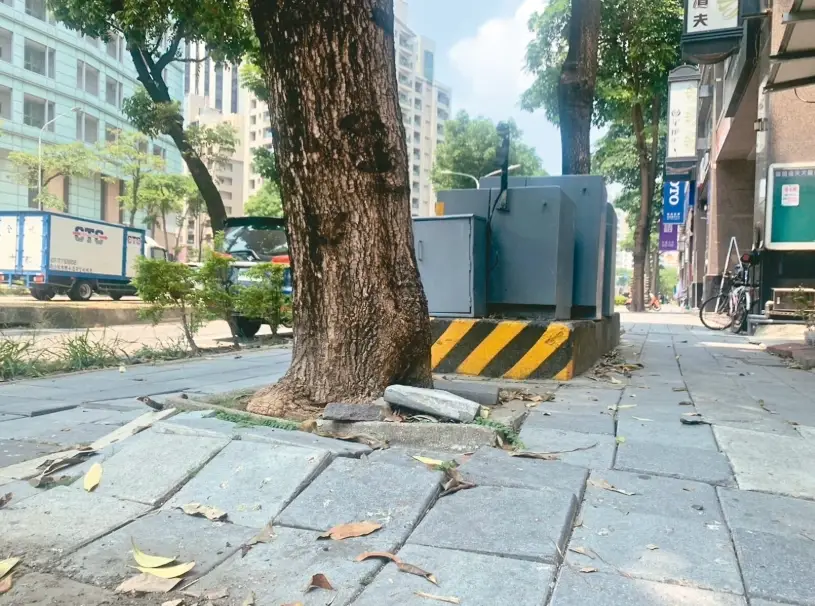 路樹竄根處理 路樹竄根處理