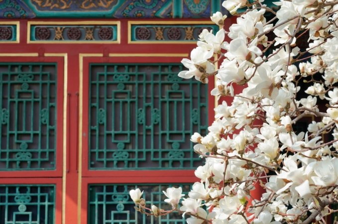 北京自由行