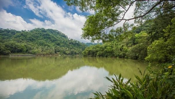 大溪花海農場 大溪花海農場