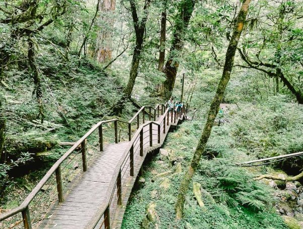 拉拉山步道難度