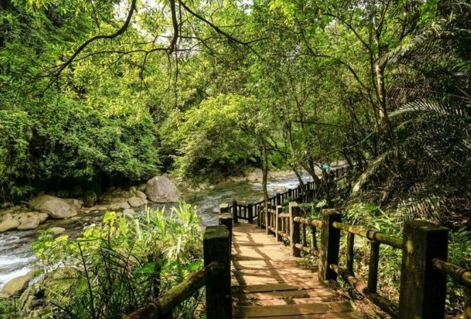 台灣山林步道推薦