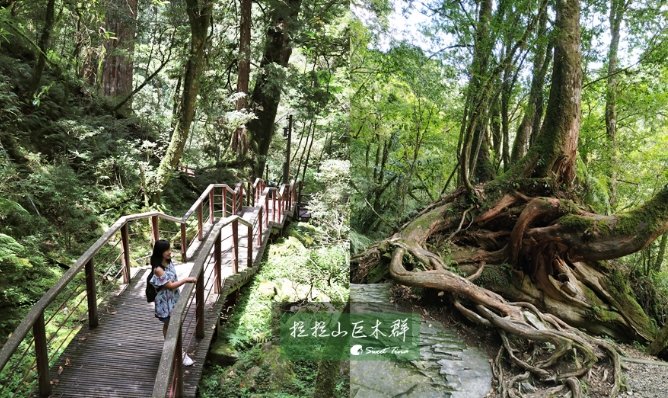 拉拉山健行攻略