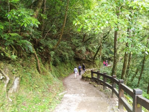 拉拉山步道難度