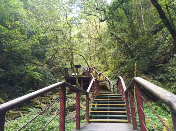 拉拉山健行攻略