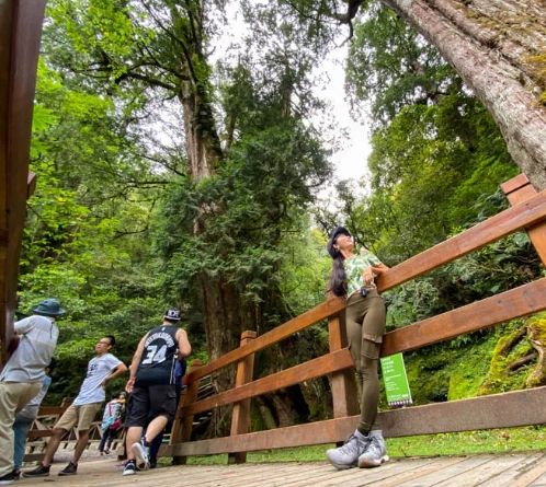 拉拉山步道難度