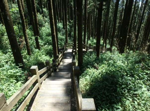 台灣山林步道推薦