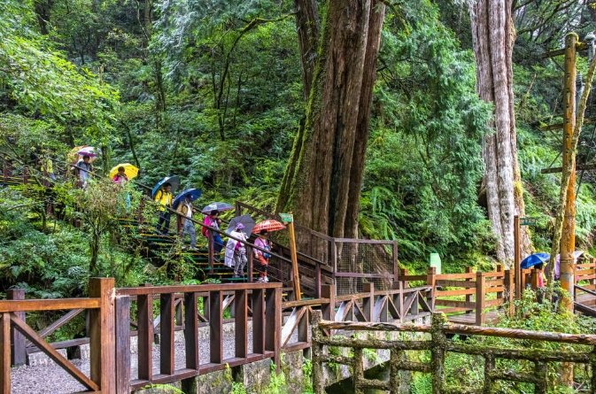 拉拉山步道難度