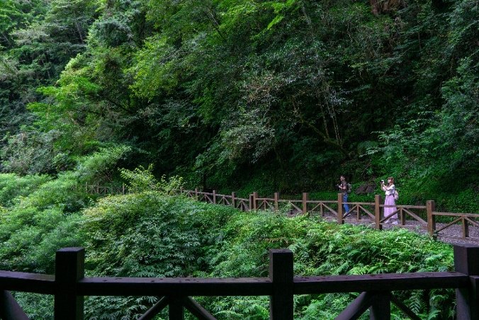 拉拉山健行攻略