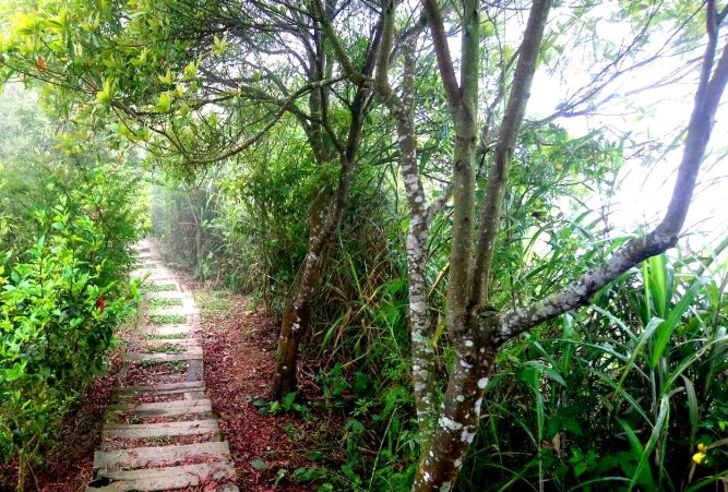 獨立山步道交通