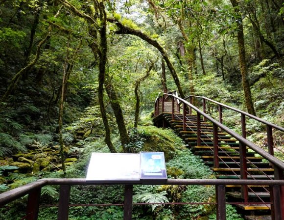 拉拉山健行攻略