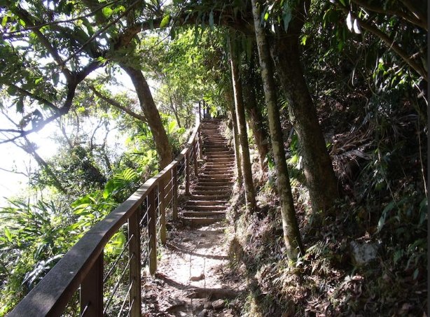 嘉義獨立山步道