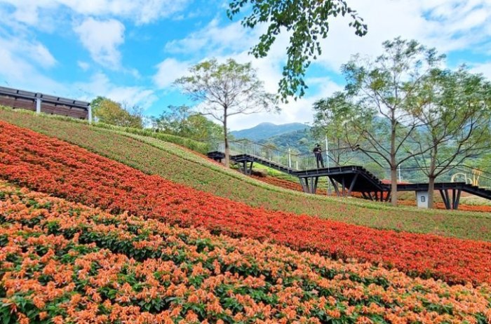 中山區賞花地點