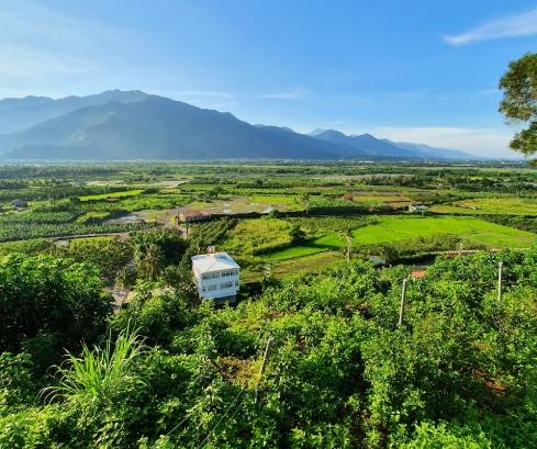 台灣南部森林旅遊